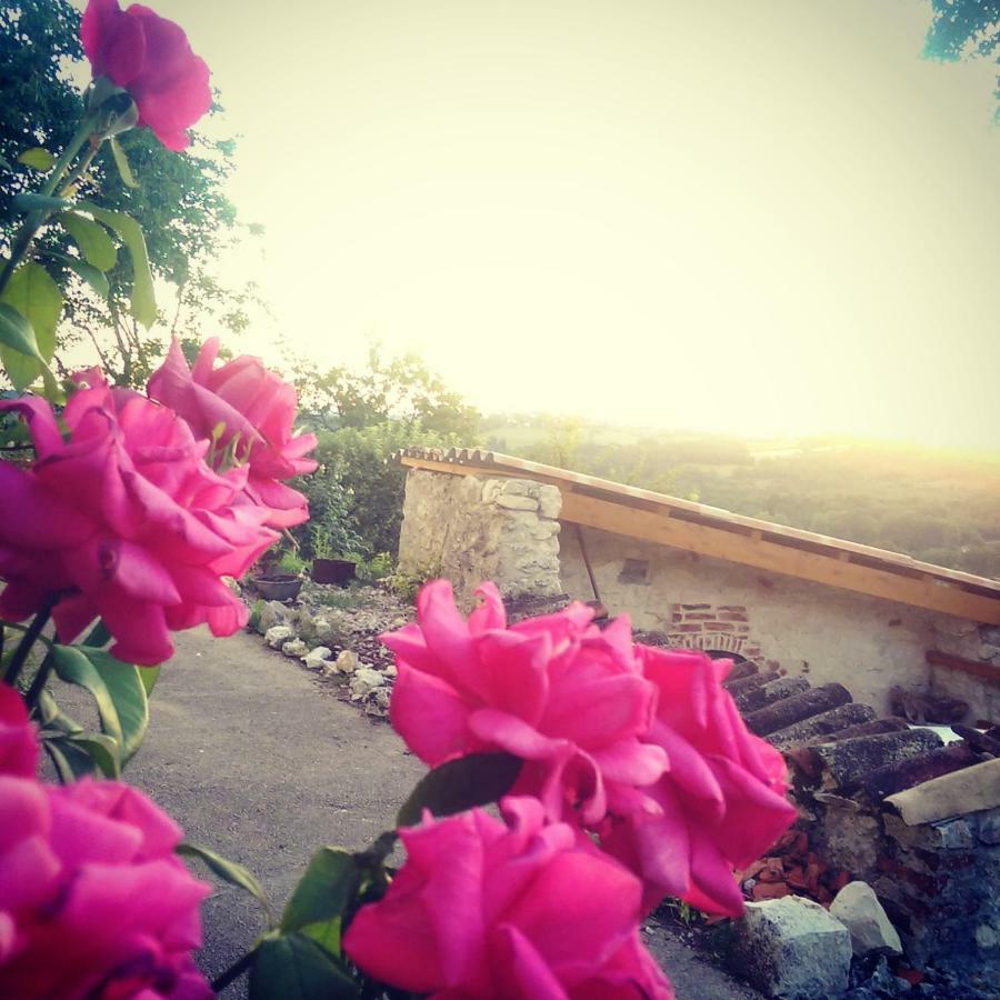 Le Mas Des Papillons Fargues  Dış mekan fotoğraf